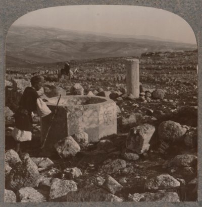 टेको का खंडहर, c1900 द्वारा अज्ञात