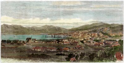 शहर और वेलिंगटन का बंदरगाह, न्यूजीलैंड की राजधानी, c1880 द्वारा अज्ञात