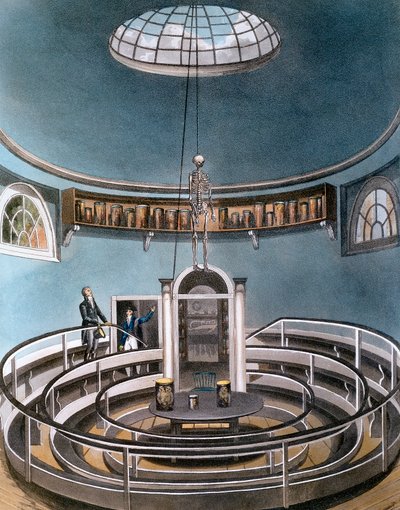 थिएटर ऑफ़ एनाटॉमी, कैम्ब्रिज, 1815 द्वारा अज्ञात