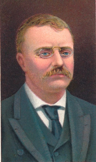 थियोडोर रूजवेल्ट 1858-1919, संयुक्त राज्य अमेरिका के 26 वें राष्ट्रपति, 1906 द्वारा अज्ञात