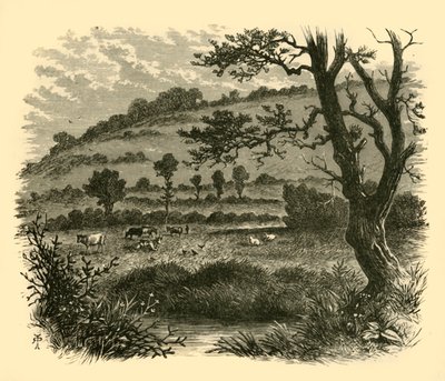 थिस्सलडन, 1898। द्वारा अज्ञात
