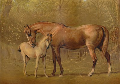 थोरब्रेड मर्ड एंड फाल, सी 1879। द्वारा अज्ञात