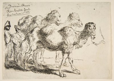 तीन Dromedaries.nd द्वारा अज्ञात
