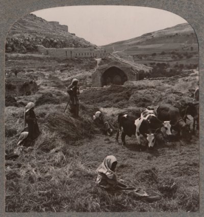 जैकब्स वेल के पास थ्रेसिंग ग्रेन, c1900 द्वारा अज्ञात