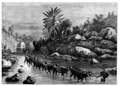 Griqualand, दक्षिण अफ्रीका में यात्रा, c1890 द्वारा अज्ञात