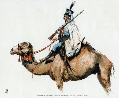 पहले नेपोलियन मिस्र की सेना के ऊंट वाहिनी का ट्रूपर, 1790 वीं 20 वीं सदी द्वारा अज्ञात