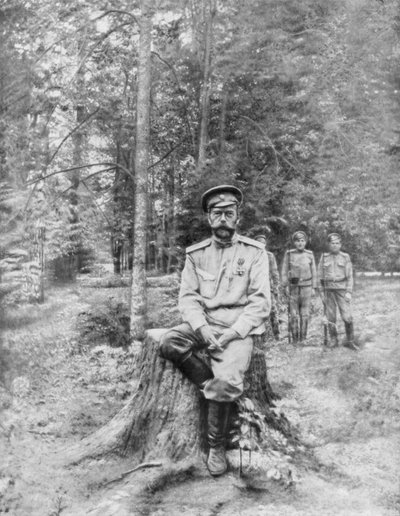 निर्वासन में तोबर निकोलस द्वितीय, टोबोल्स्क, साइबेरिया, 13 अगस्त 1917 द्वारा अज्ञात