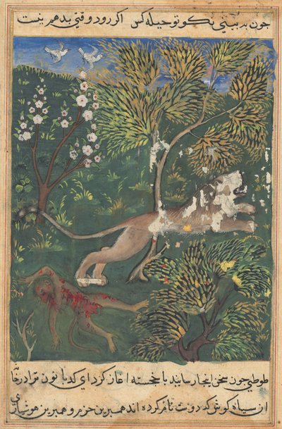 टुटी-नामा टेल्स ऑफ़ ए पैरट: टेल एक्सएक्सएक्स, सी। 1560। द्वारा अज्ञात