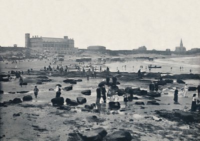 टाइनमाउथ - द एक्वेरियम एंड सैंड्स, 1895 द्वारा अज्ञात
