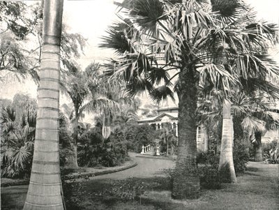 विशिष्ट हवाईयन यार्ड, होनोलुलु, यूएसए, 1895। द्वारा अज्ञात