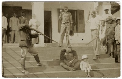 एक नामांकित गोरिल्ला, c.1910 (b / w फोटो) द्वारा अज्ञात