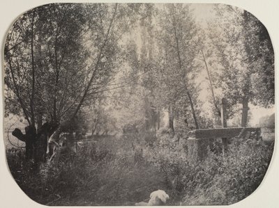 कुत्ते के साथ शीर्षकहीन लैंडस्केप, सी। 1910। द्वारा अज्ञात