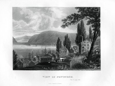 न्यूयॉर्क, न्यूयॉर्क राज्य का दृश्य, 1855 द्वारा अज्ञात