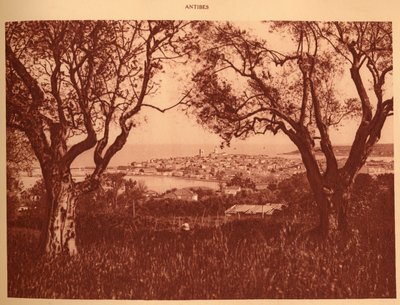 1930 के दशक से लेकर अब तक के जैतून-पेड़ों को देखें। द्वारा अज्ञात