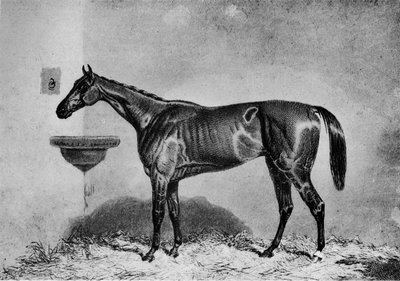 विरागो, 1851-1869, 1911 द्वारा अज्ञात