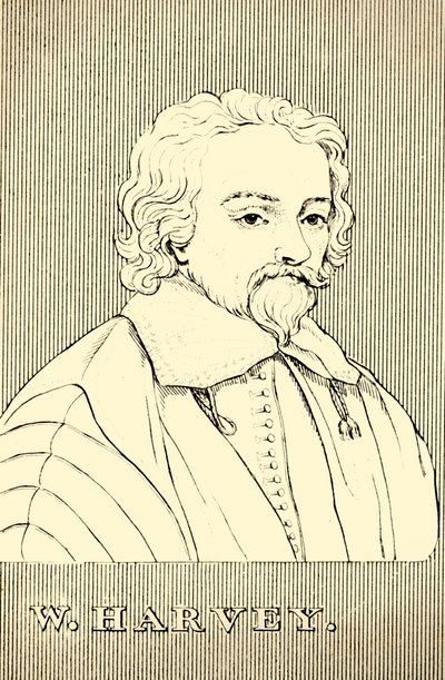 डब्ल्यू। हार्वे, 1578-1657, 1830। द्वारा अज्ञात