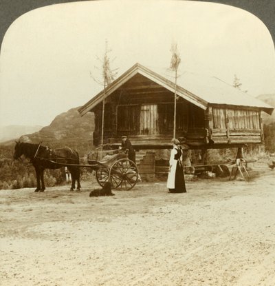 बोल्केज़ो, नॉर्वे के पास सड़क पर यात्रियों का इंतजार, c1905 द्वारा अज्ञात