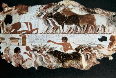 नेबरुनुन, थेब्स, मिस्र के मकबरे से दीवार पेंटिंग, c1350 ई.पू द्वारा अज्ञात