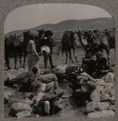 जैकब वेल में पानी के ऊंट, c1900 द्वारा अज्ञात