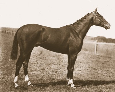 वेदरकॉक, 1911। द्वारा अज्ञात