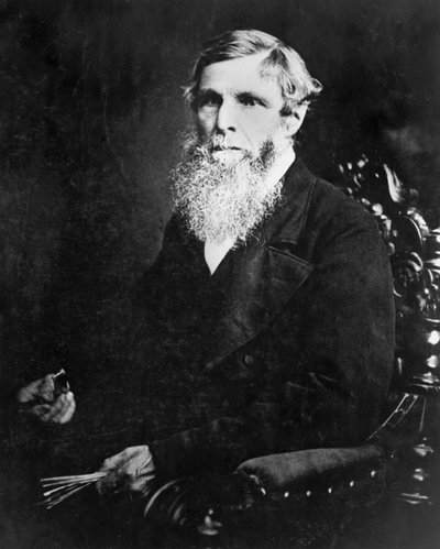विलियम फ्राउड, अंग्रेजी इंजीनियर और नौसेना वास्तुकार, सी 1870 द्वारा अज्ञात