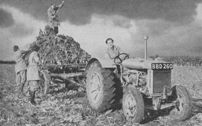 द्वितीय विश्व युद्ध, 1940, एक भूमि उठाने वाली महिला सेना द्वारा अज्ञात
