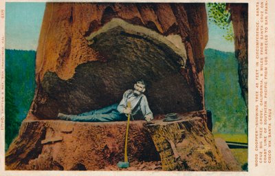 परिधि में लकड़ी चॉपर-दिखा ट्री 46 फीट। सांता क्रूज़ बिग ट्री ग्रोव, कैलिफोर्निया, c1909 द्वारा अज्ञात