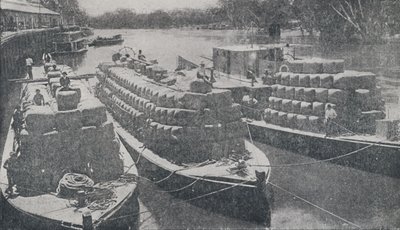 मुर्रे नदी, 1923 में वूल बार्ज। द्वारा अज्ञात
