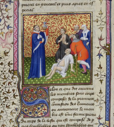 Ms.251 f.54v अपने मरीजों के साथ एक डॉक्टर, डेस प्रोप्रेटेज़ डेस चोस, सी .154 द्वारा अज्ञात अज्ञात