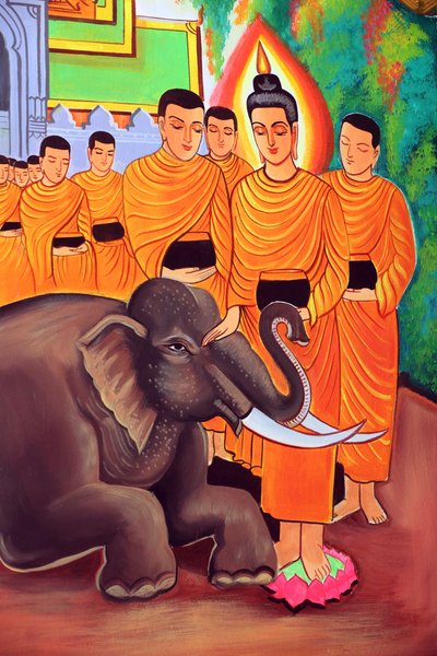 20151029, वियनतियाने, लाओस: वाट सी मुआंग (सिमुओंग) बौद्ध मंदिर। शाक्यमुनि बुद्ध की जीवन गाथा को दर्शाती पेंटिंग। प्रेम-कृपा से पालतू जंगली हाथी द्वारा अज्ञात