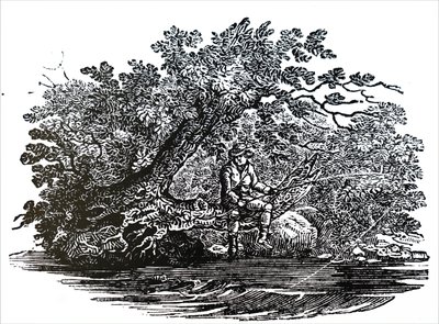 एक मछुआरा द्वारा अज्ञात