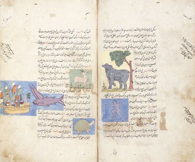 A page from the Persian manuscript Ajaib al-Makhluqat wa Gharaib al-Maujudat द्वारा अज्ञात