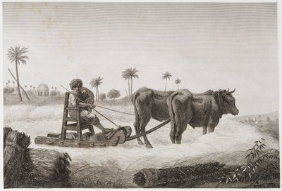 कृषि योग्य खेती, हार्वेस्टिंग थ्रेशिंग मशीन, मिस्र, c 1798 द्वारा अज्ञात