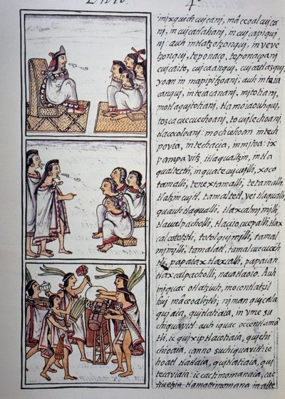 एज़्टेक समाज, फ्लोरेंटाइन कोडेक्स की पुस्तक IV, स्पेनिश और नाहुआट्ल में द्विभाषी संस्करण, न्यू स्पेन की चीजों का सामान्य इतिहास (हिस्टोरिया जनरल डे लास कोसास डी नुएवा एस्पाना), एज़्टेक सभ्यता द्वारा अज्ञात कलाकार