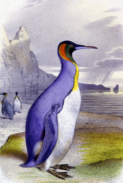  द्वारा अनजान कलाकार