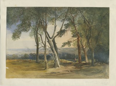 कैनक चेज़: वाटर कलर पेंटिंग, 1848 द्वारा अज्ञात