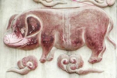 चीनी ज्योतिषीय संकेत। सफेद बादल मंदिर बीजिंग चीन द्वारा अज्ञात
