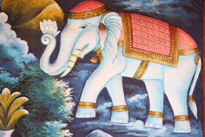 समर्पित हाथी। सिएम रीप कंबोडिया द्वारा अज्ञात