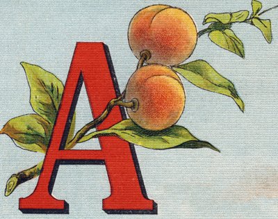 पत्र ए: खुबानी। "Alphabet de ma petite fille" में उत्कीर्णन। बर्नार्डिन-बेचेट एंड फिल्स, बुकसेलर-प्रकाशक, पेरिस, 1895 के आसपास। कैनवास पर अटूट एल्बम। बिब्लियोथेक डेस बेब्स। 12 पृष्ठ। एक पठन विधि और एक उदाहरण प्रस्तुत करने वाला एल्बम containing द्वारा अज्ञात