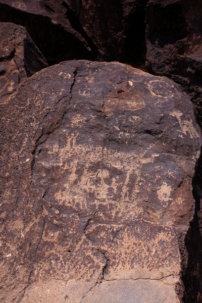 जानवरों और पात्रों को दर्शाने वाले पेट्रोग्लिफ़ - पेट्रोग्लिफ़ राष्ट्रीय स्मारक - अल्बुकर्क, न्यू मैक्सिको, यूएसए (यूएसए) द्वारा अज्ञात कलाकार
