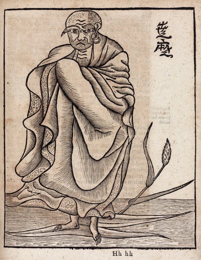 Portrait de Bodhidharma (v द्वारा अज्ञात