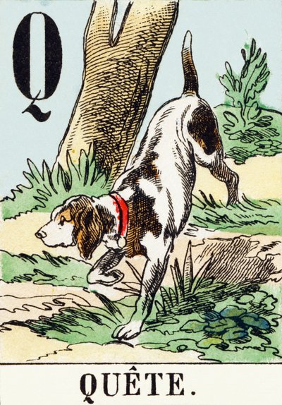 प्रश्न: क्वेट - एटी हंटिंग वर्णमाला, c.1890 (उत्कीर्णन) द्वारा अज्ञात