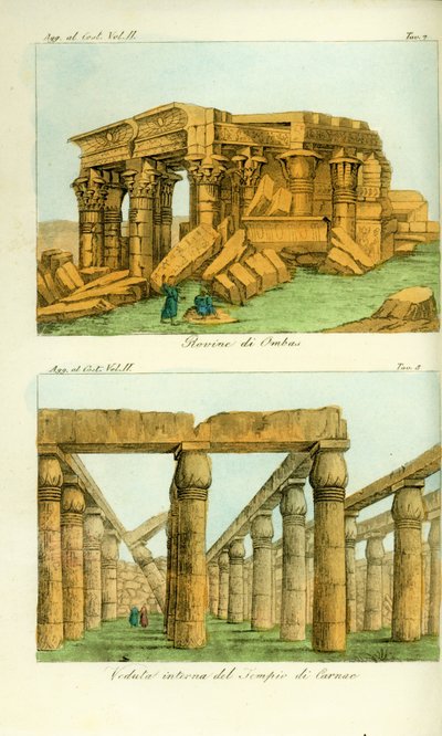 कोम ओम्बो (ओम्बास), नूबिया के मंदिर के खंडहर, और कर्णक मंदिर, लक्सर, मिस्र का दृश्य द्वारा अज्ञात