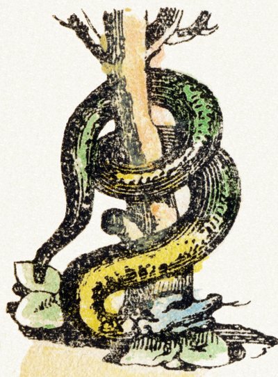 एस - सर्प - बाल मनोरंजन वर्णमाला c.1890 (लिथोग्राफ) द्वारा अज्ञात