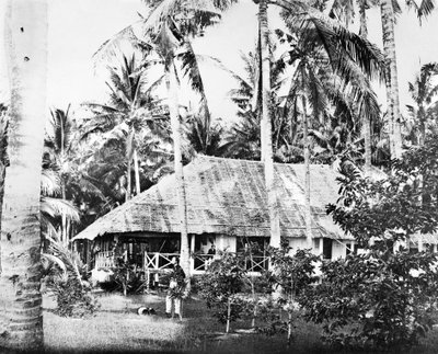 सिंगापुर: ताड़ के पेड़ों से घिरा एक निजी बंगला। सिंगापुर, c1875 द्वारा अज्ञात