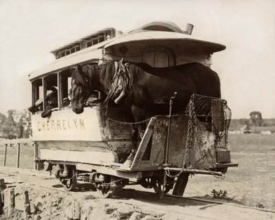चेरेलिन हॉर्स कार, डेनवर, कोलोराडो, c.1890 (b/w फोटो) द्वारा निकोलस लीज़