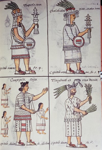 Tzapotlatena, Chalchiuhtlatonal, Cioapipitli और Tliltecuhtli, फ्लोरेंटाइन कोडेक्स, स्पेनिश और नाहुआट्ल में द्विभाषी संस्करण, न्यू स्पेन की चीजों का सामान्य इतिहास (हिस्टोरिया जनरल डे लास कोसास डी नुएवा एस्पाना), एज़्टेक द्वारा अज्ञात कलाकार