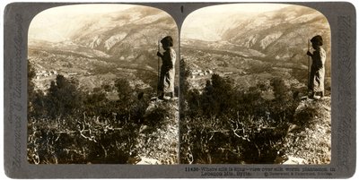 लेबनान के पहाड़ों, 1900 के दशक में रेशम का कीड़ा का पौधा। द्वारा अंडरवुड और अंडरवुड