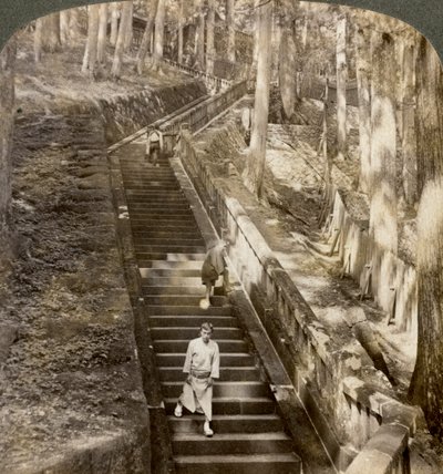 शोगुन इयासु, निक्को, जापान, 1904 की समाधि तक प्राचीन पत्थर की सीढ़ी। द्वारा अंडरवुड और अंडरवुड