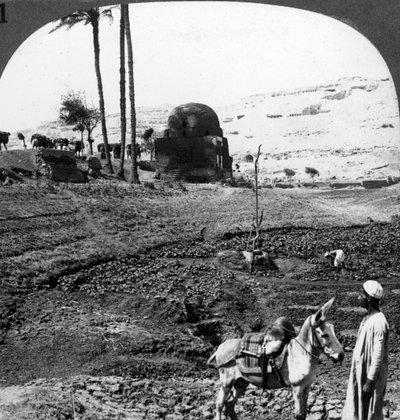 1905, मिस्र के लॉर्ड्स के क्लिफ कब्रों। द्वारा अंडरवुड और अंडरवुड